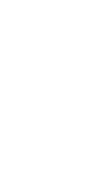 バスケットボール選手